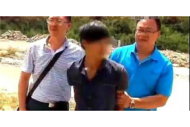 科尔沁科尔沁讨债公司服务